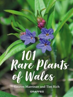 cover image of 101 Rare Plants of Wales